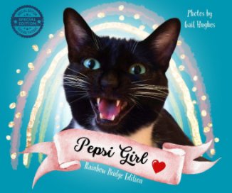 Pepsi Girl book cover